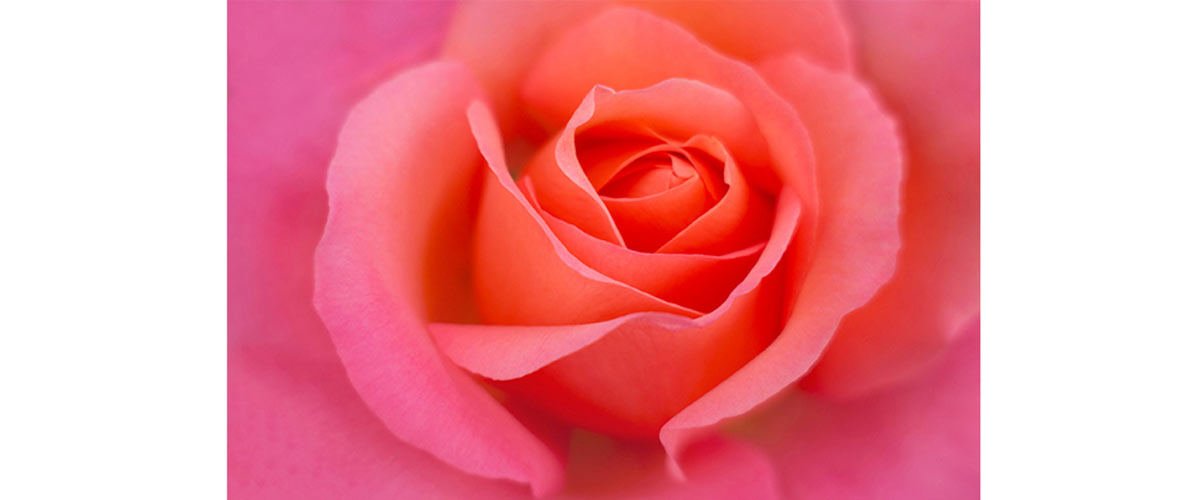 image taken by Kathleen Clemons